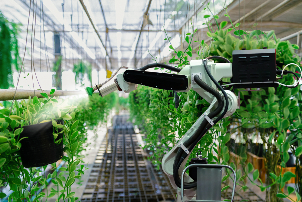 Greenhouse robot spraying plants