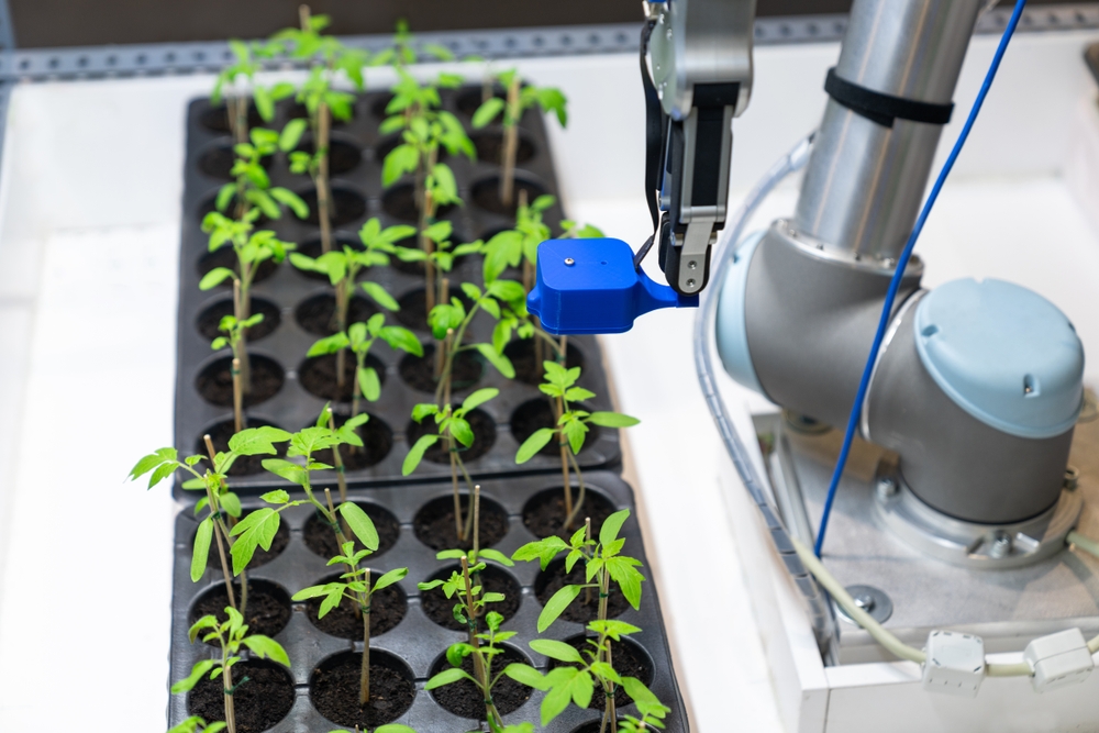 greenhouse robot inspecting the growth of tomatoes
